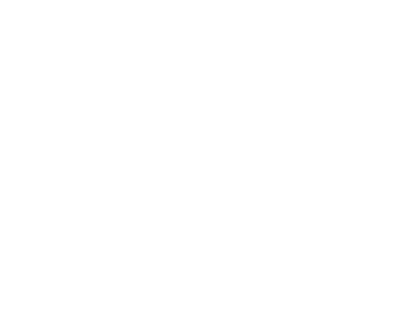 Bidoo Tec